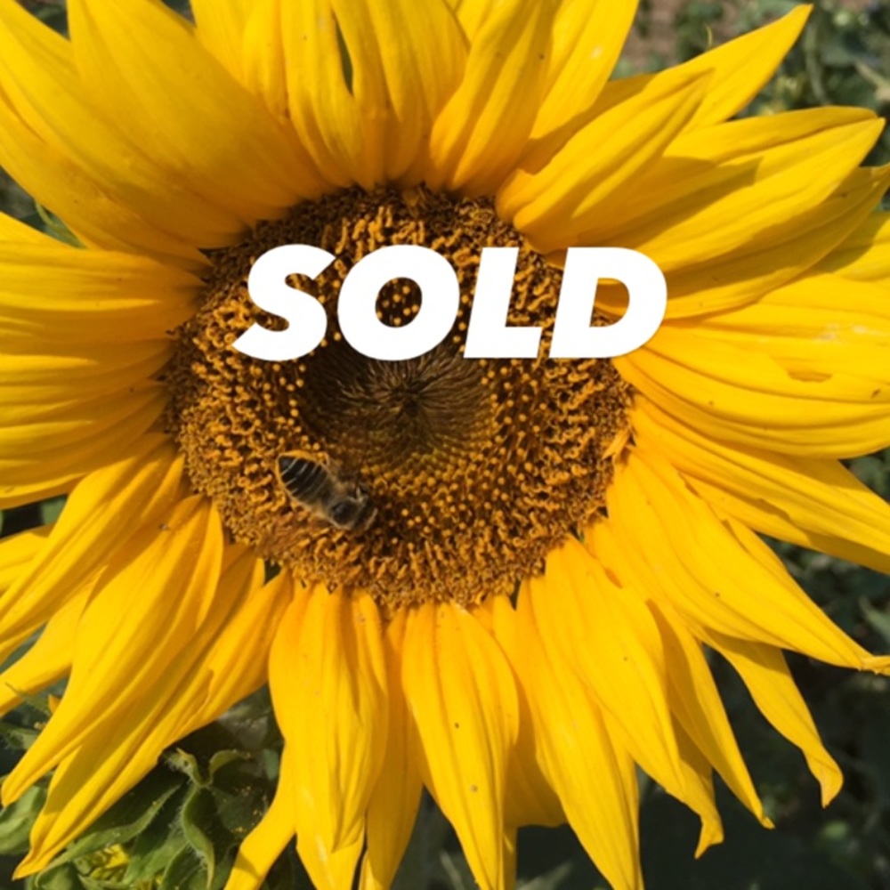 ✨ALL ITEMS SOLD PAST THIS POINT✨